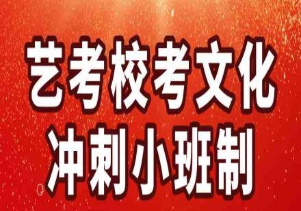 艺考冲刺班