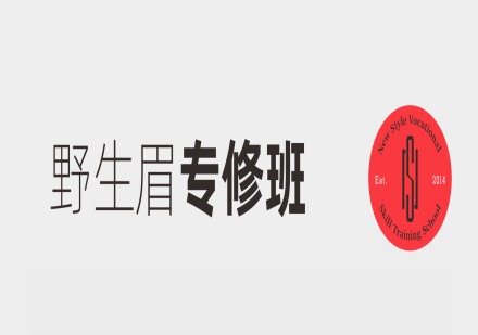 成都野生眉专修班