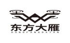 深圳东方大雁无人机