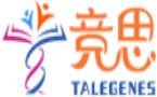 竞思注意力