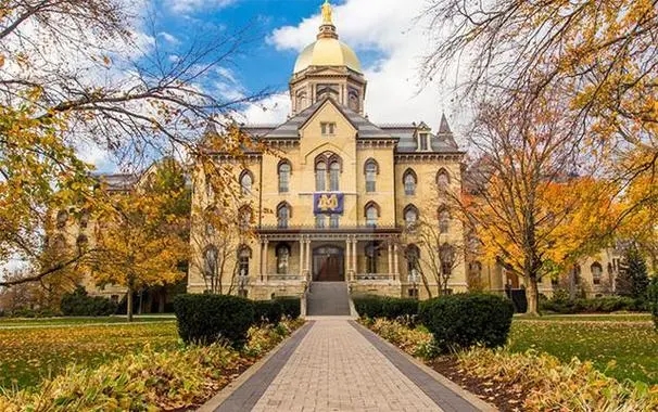 专业！国内美国留学中介机构优先推荐排名前五