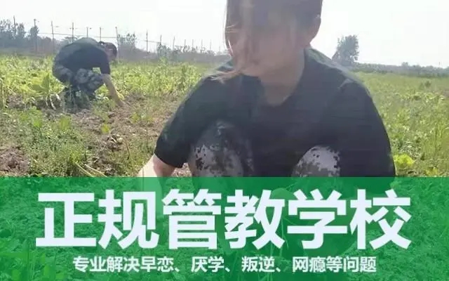 力推|吉林长春问题少年教育学校名单榜推荐一览
