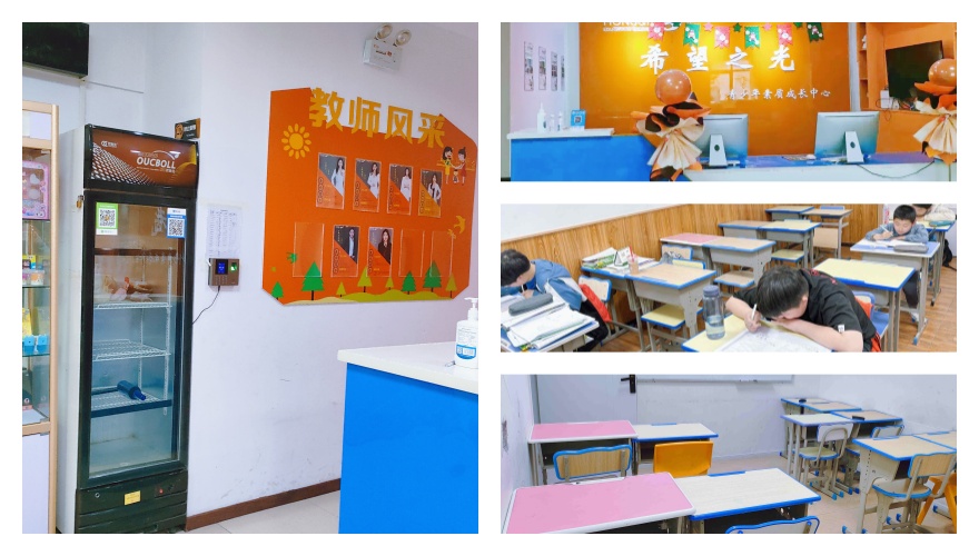 2025合肥市庐江县一览新高考培训辅导机构排行榜top10