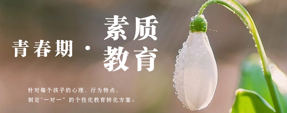 广东国内十大孩子叛逆厌学网瘾正规教育机构排行榜一览