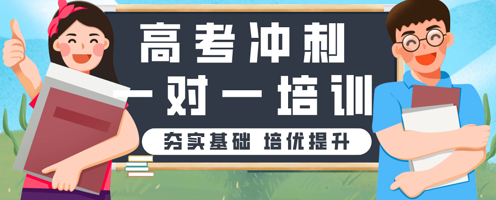 全新汇总上海闵行区高考冲刺一对一辅导机构十大人气高的名单