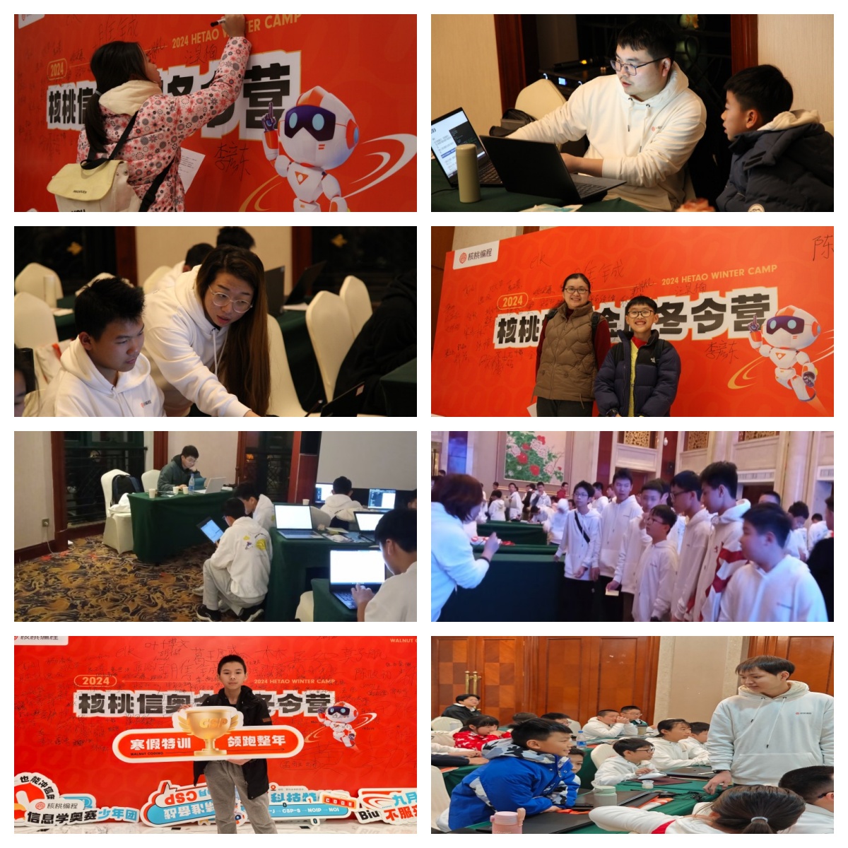 北京丰台区口碑不错的少儿编程线上学习培训机构排名名单盘点