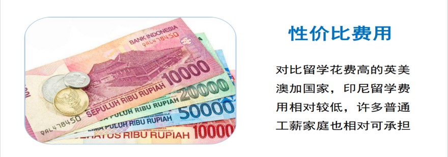 河北保定印尼zong统大学留学服务机构五大排名一览