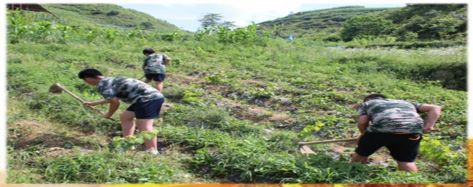 连云港赣榆区正规专注青少年戒网瘾学校名单公布