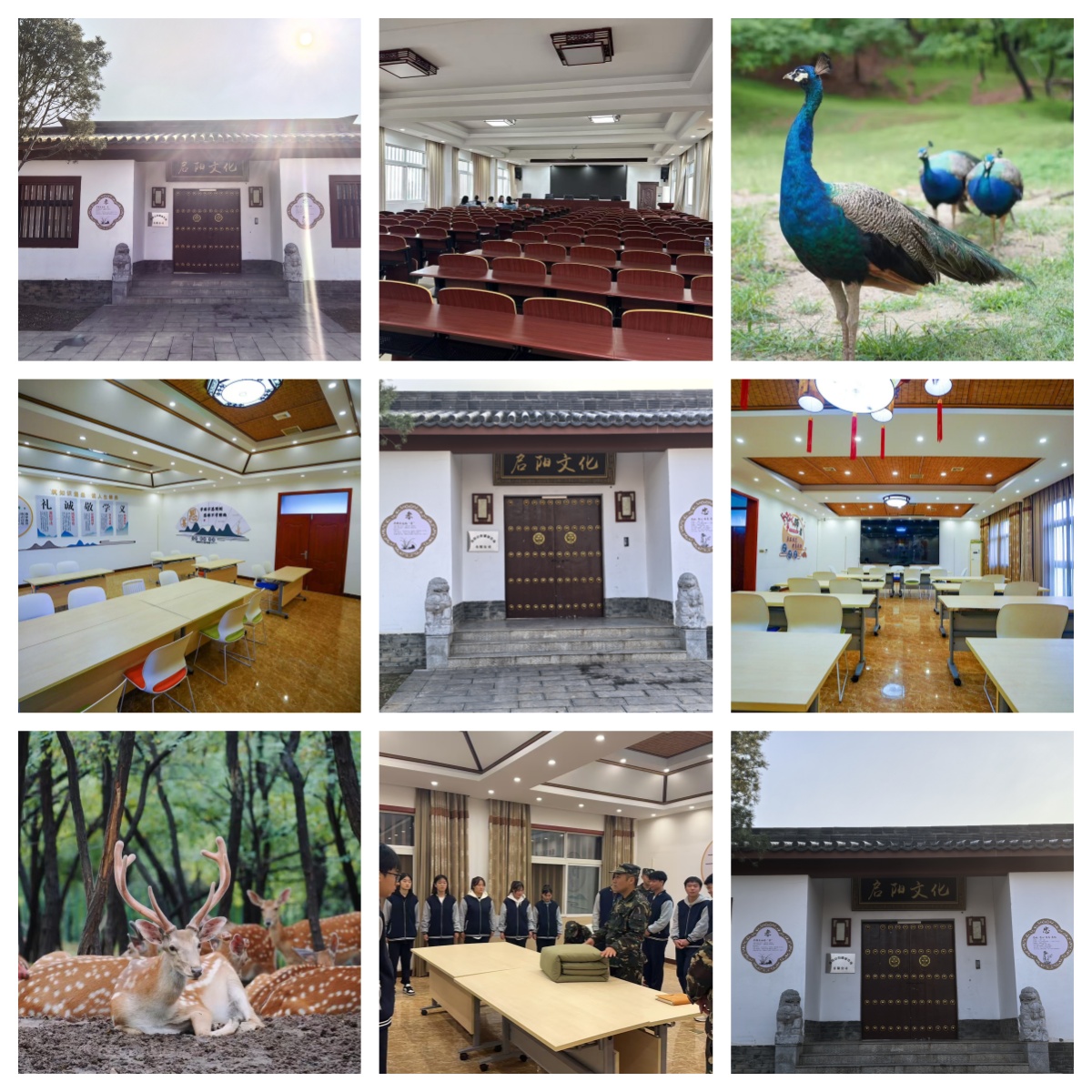 更新!洛阳地区有效引导改善青少年厌学情绪的教育基地TOP10