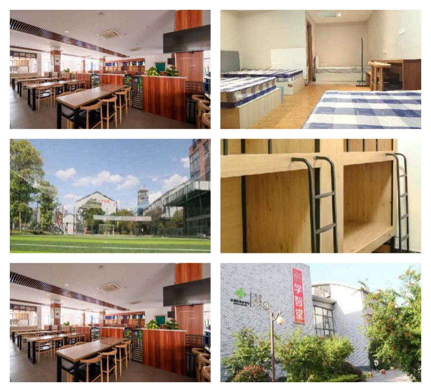 重庆沙坪坝【口碑极佳】高中数理化培训学校靠谱排名一览