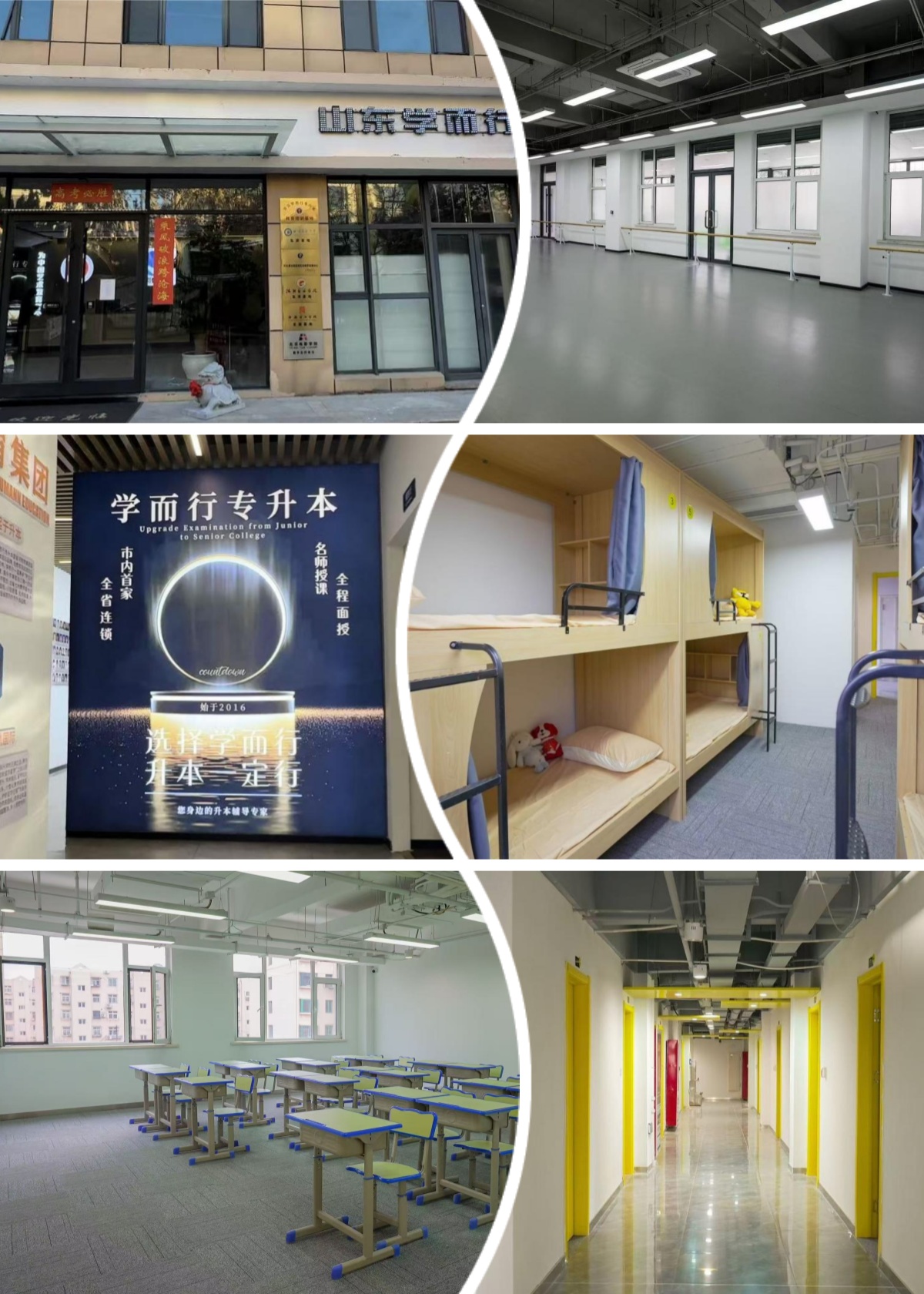 新发布青岛10大推荐受欢迎的专升本培训机构名单榜首一览