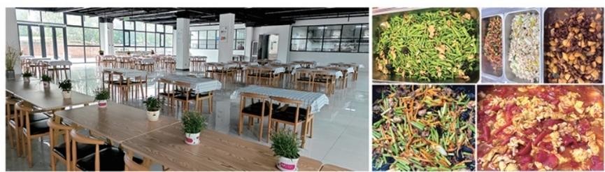 快人一步|新乡市十大高人气考研全年集训营培训机构2025名单更新一览