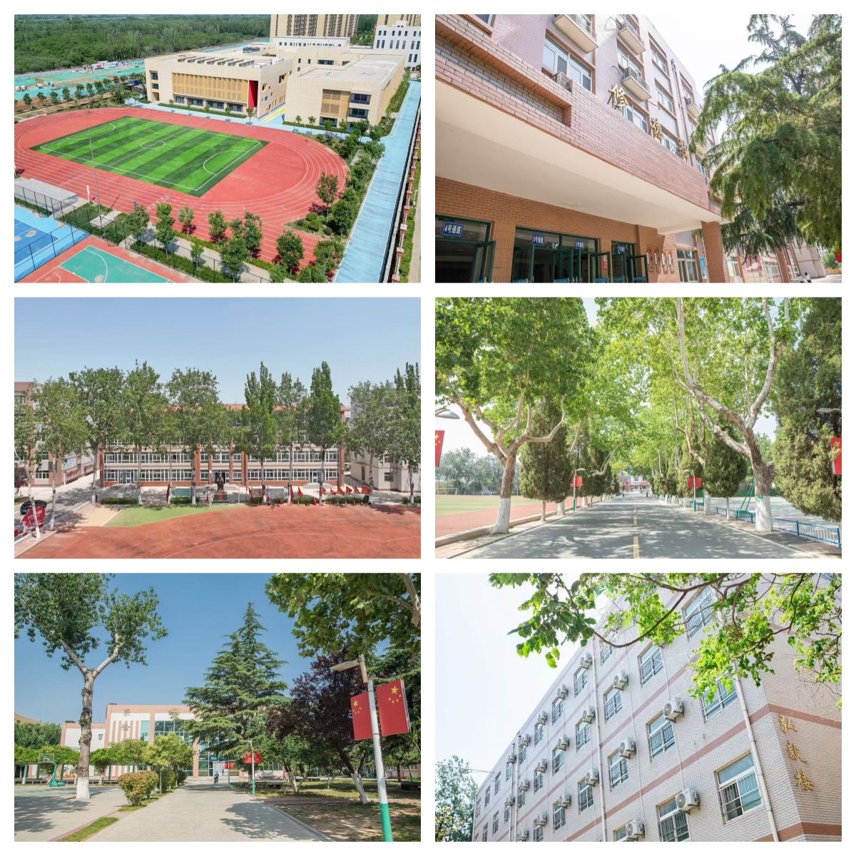 太哇塞!山东省济南市高考复读辅导宝藏学校实力排名前十家-TOP10速览