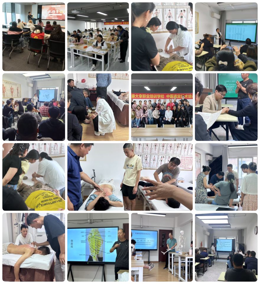 2025安徽省合肥十大中医师承培训机构更新名单榜一览