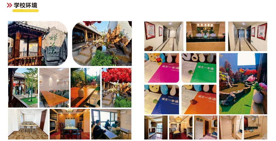 石家庄市十大人气口碑好的艺考文化课补习机构名单一览