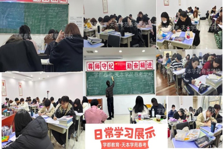 天津津南区春季高考考试辅导培训机构10大排名榜单
