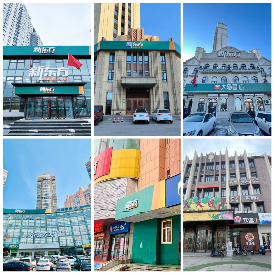 2026黑龙江哈尔滨地区小学作文辅导机构排行榜