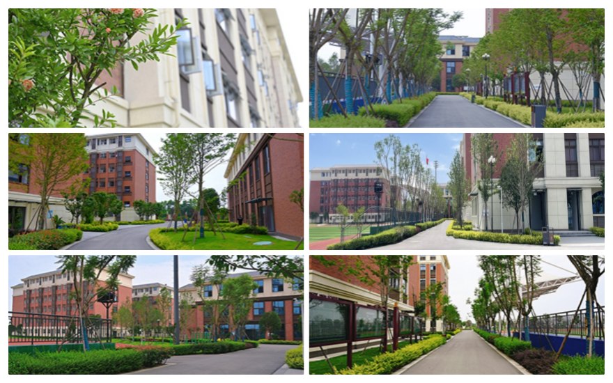 私立高中!四川省出色的十大高中全科辅导专业学校名单出炉