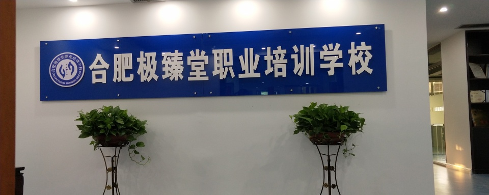 力荐!合肥优先推荐师资好的中医小儿推拿培训机构排名