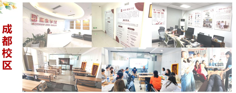 成都地区2025中医专长培训机构排名精选名单出炉