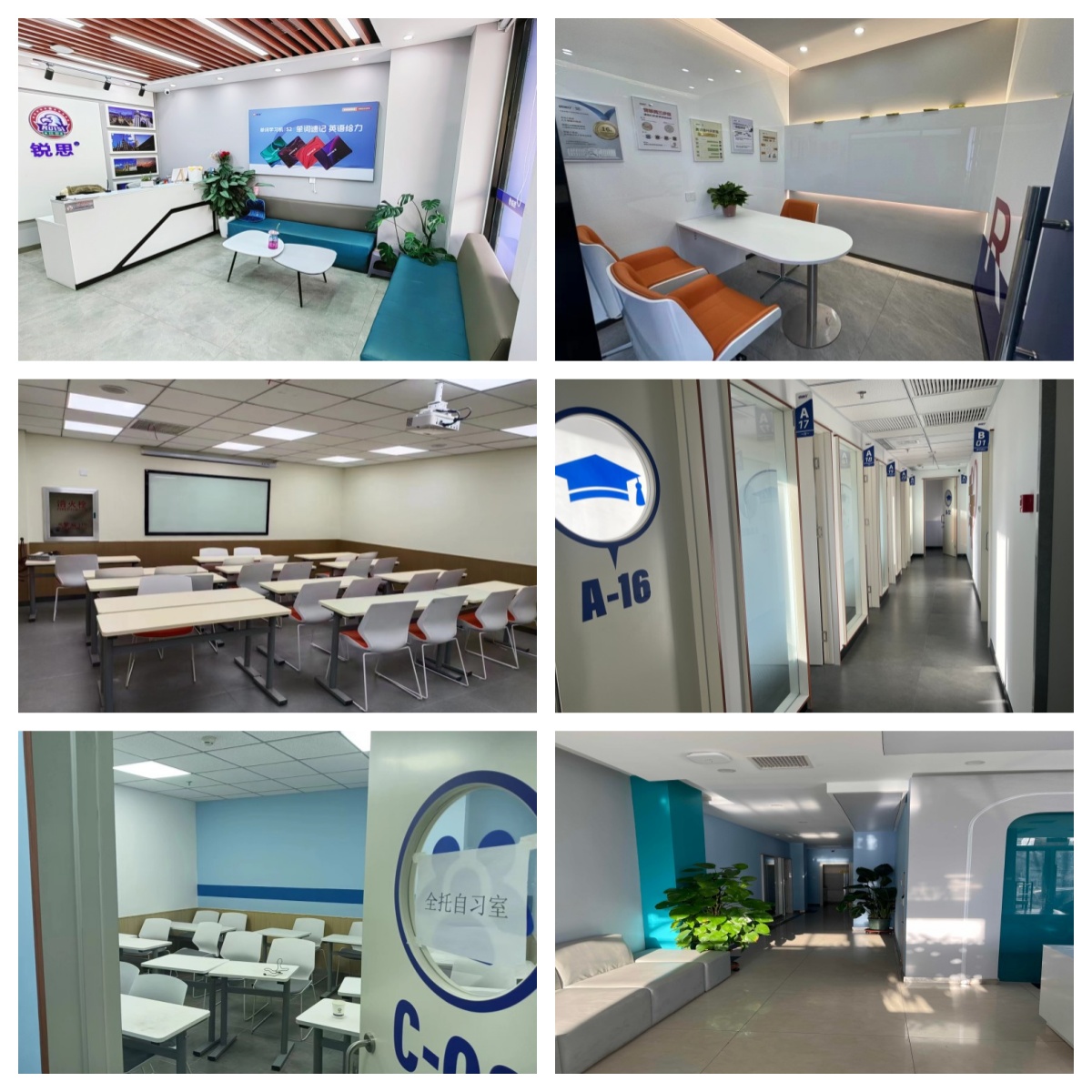 「2026年推荐」天津各区初三一对一辅导机构排名一览（24小时答疑服务）