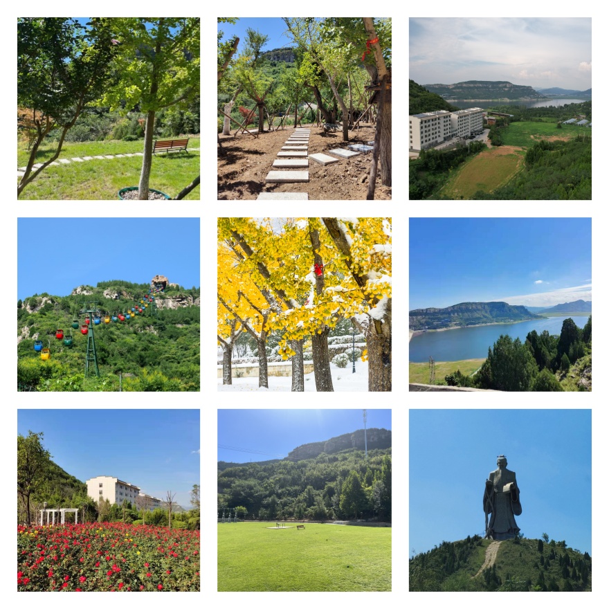 本地排名|济南槐荫区教学专业的考研复试培训机构新详细名单