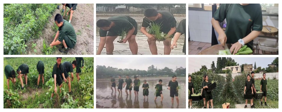 成都厌学逃学叛逆孩子素质教育学校10大榜单更新