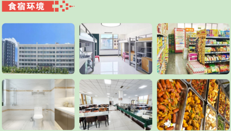 沈阳市盘点十大教学实力强的单招补习机构名单榜首一览(2026年最新版)