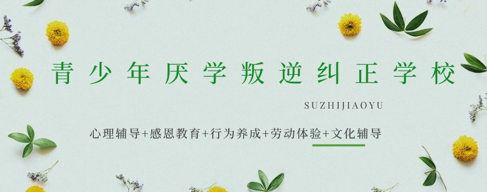 2025广西叛逆青春期厌学情绪素质教育学校10大排行一览