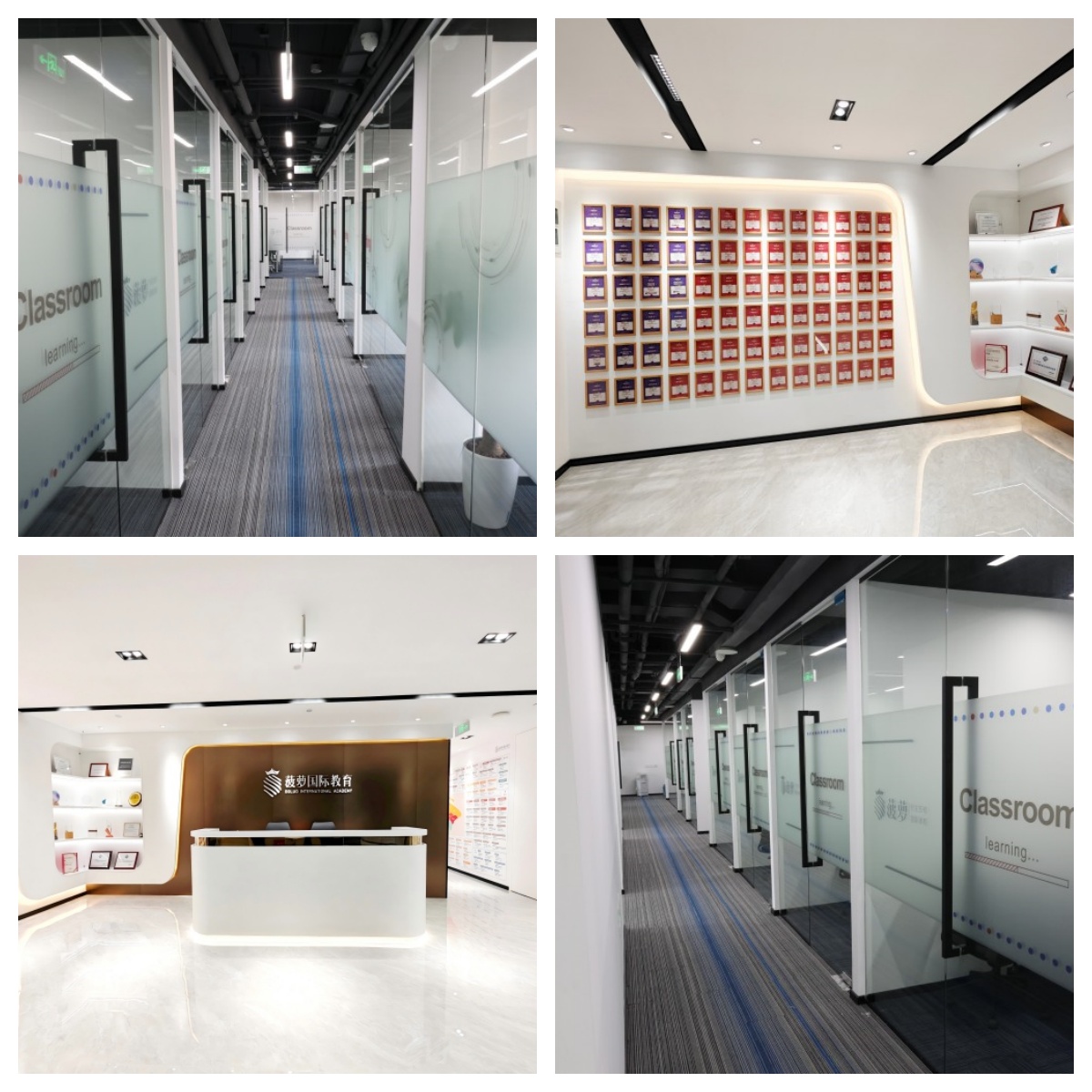 上海地区评价高的IB课程培训机构前十新名单汇总一览