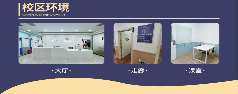 深圳市龙华区全日制艺考文化课口碑好的培训学校排名前十盘点