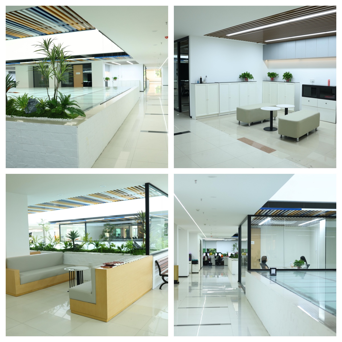 广东省广州市十大有实力的主播直播培训机构排名介绍