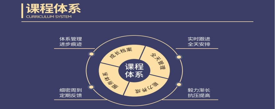 精选深圳市罗湖区十大受欢迎的中考冲刺辅导机构名单汇总