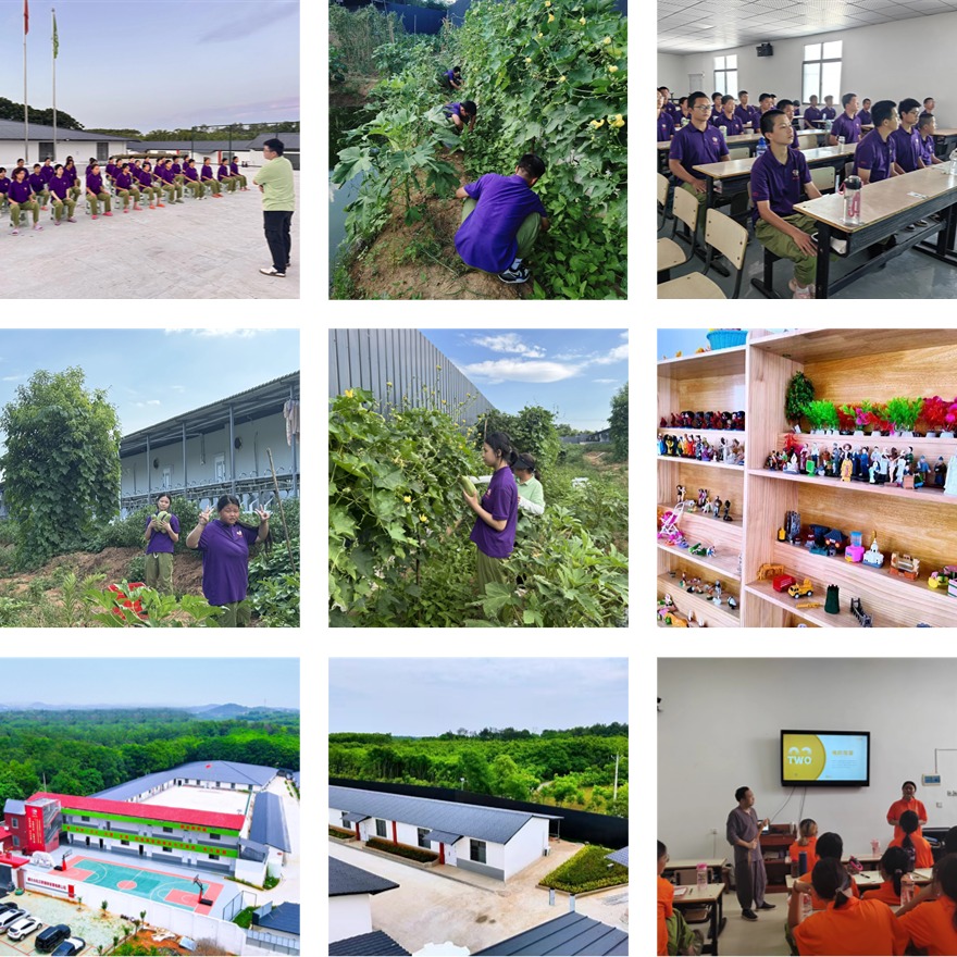 湖北本地力荐青少年叛逆戒网瘾素质教育学校十大排名一览