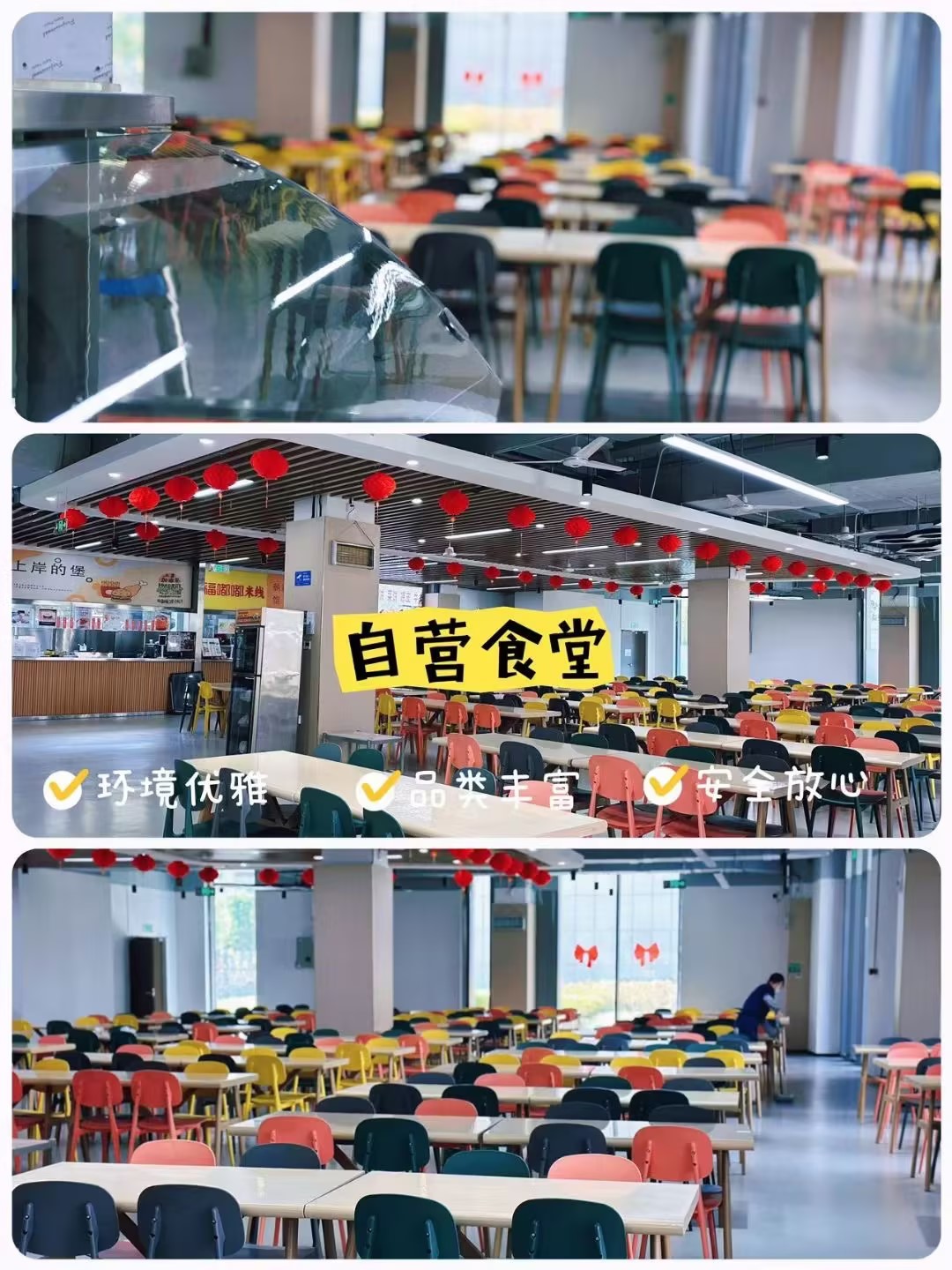 广东省内宣布统招专升本考试辅导补习机构十大实力排名