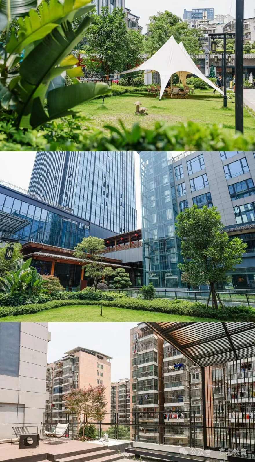 南宁更新Top10高考艺考文化课冲刺辅导机构2026名单发布一览