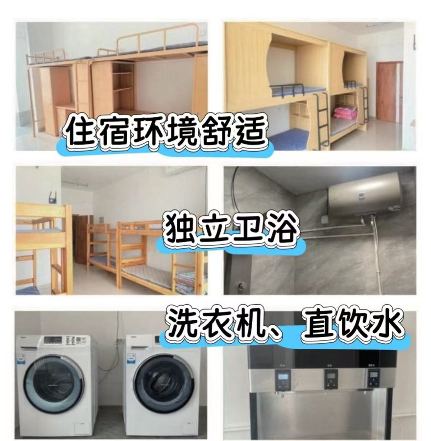 榜单!山东潍坊效果好的春季高考冲刺辅导班名单更新一览