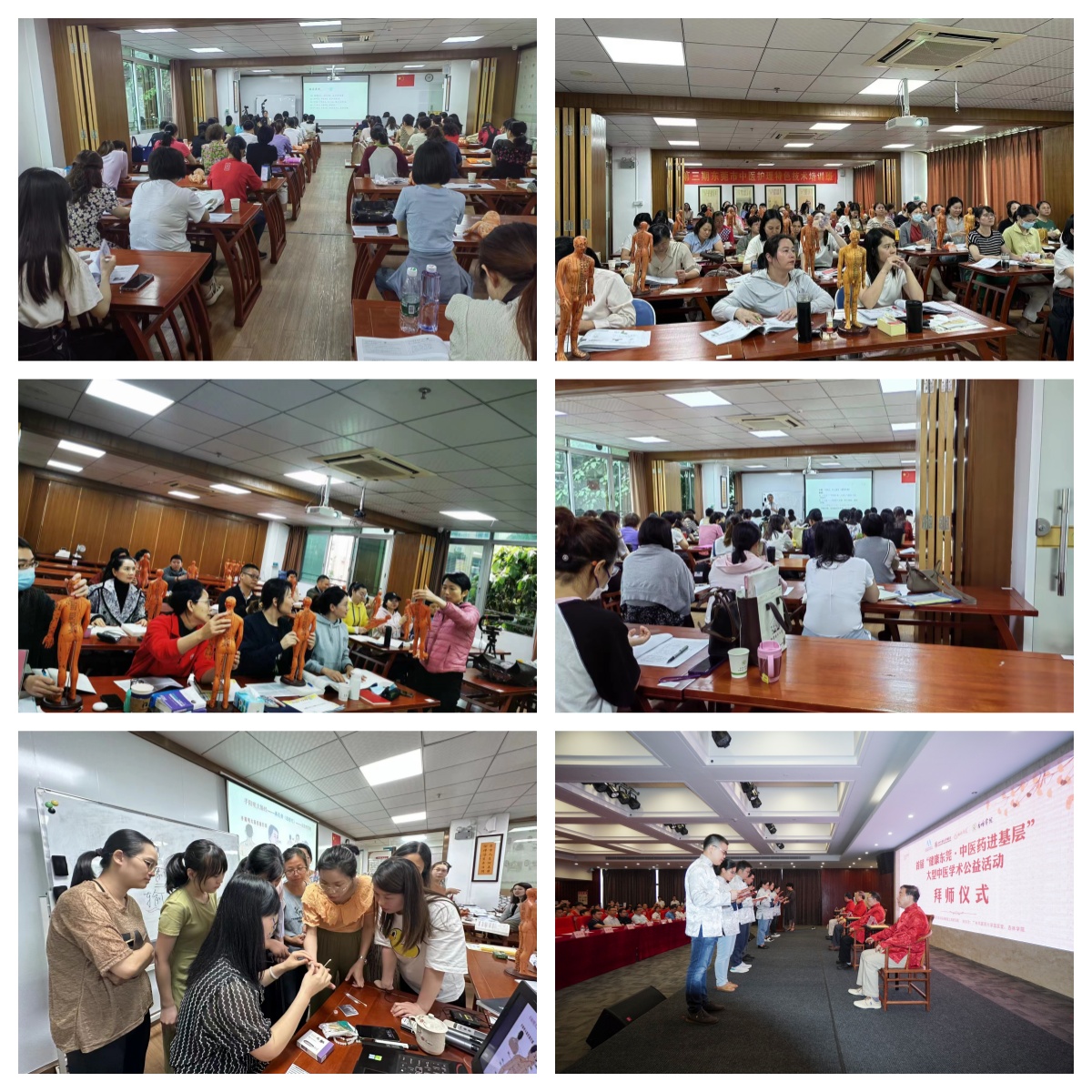 2026东莞市南城区更新10大中医师承培训机构排名好的名单发布