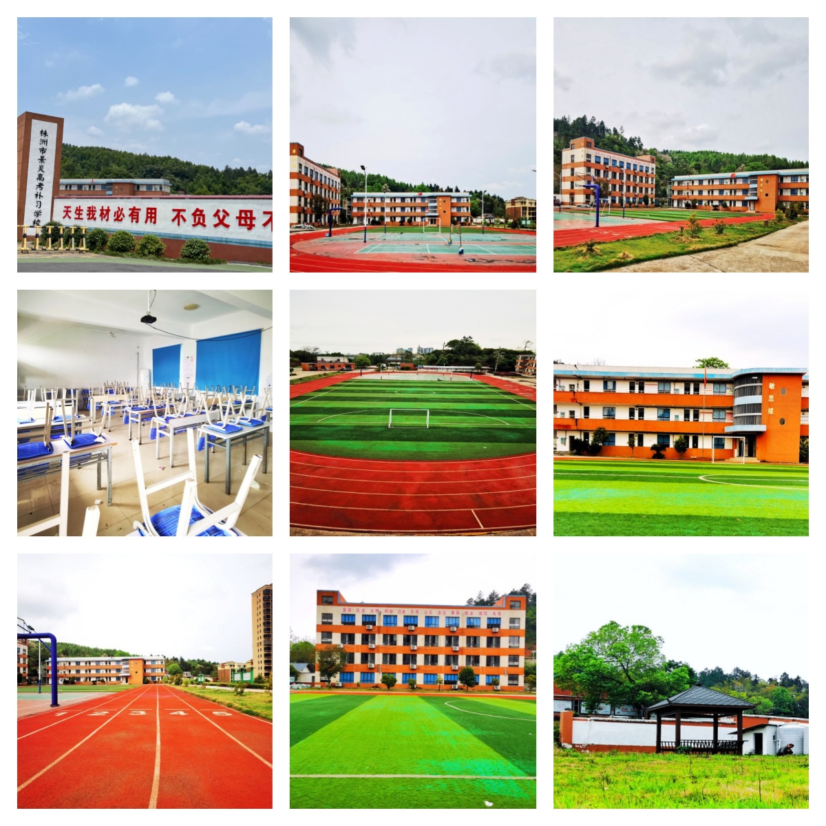 值得推荐的株洲市高三文化课全科辅导机构2026十大名单