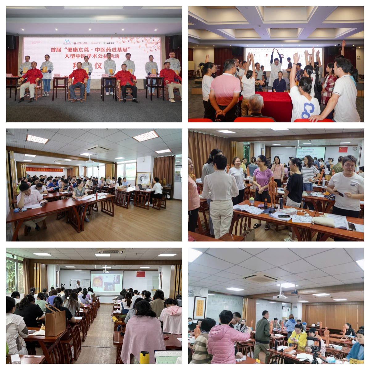 2026年东莞市十大中医师承培训机构排名推荐|多维调研报告