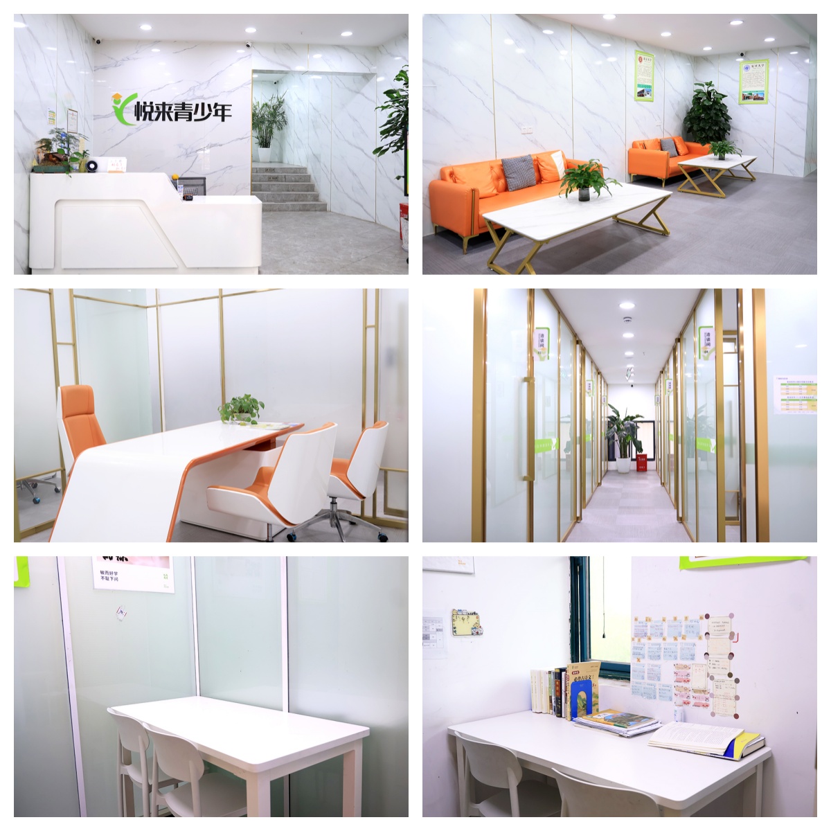 力荐湖北省武汉市靠谱的高考集训辅导机构排名更新一览