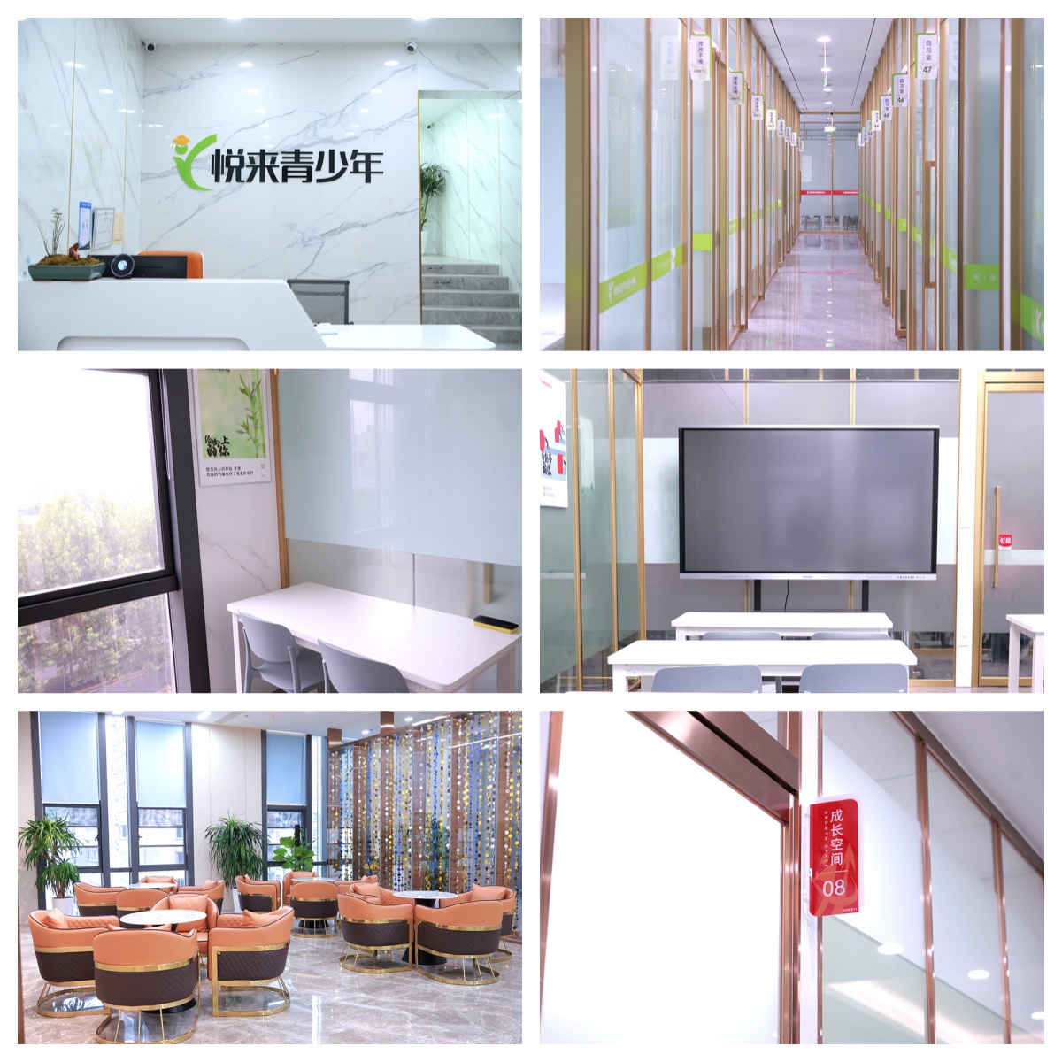 武汉市汉阳区口碑榜人气推荐的中考集训培训机构排名10大精选