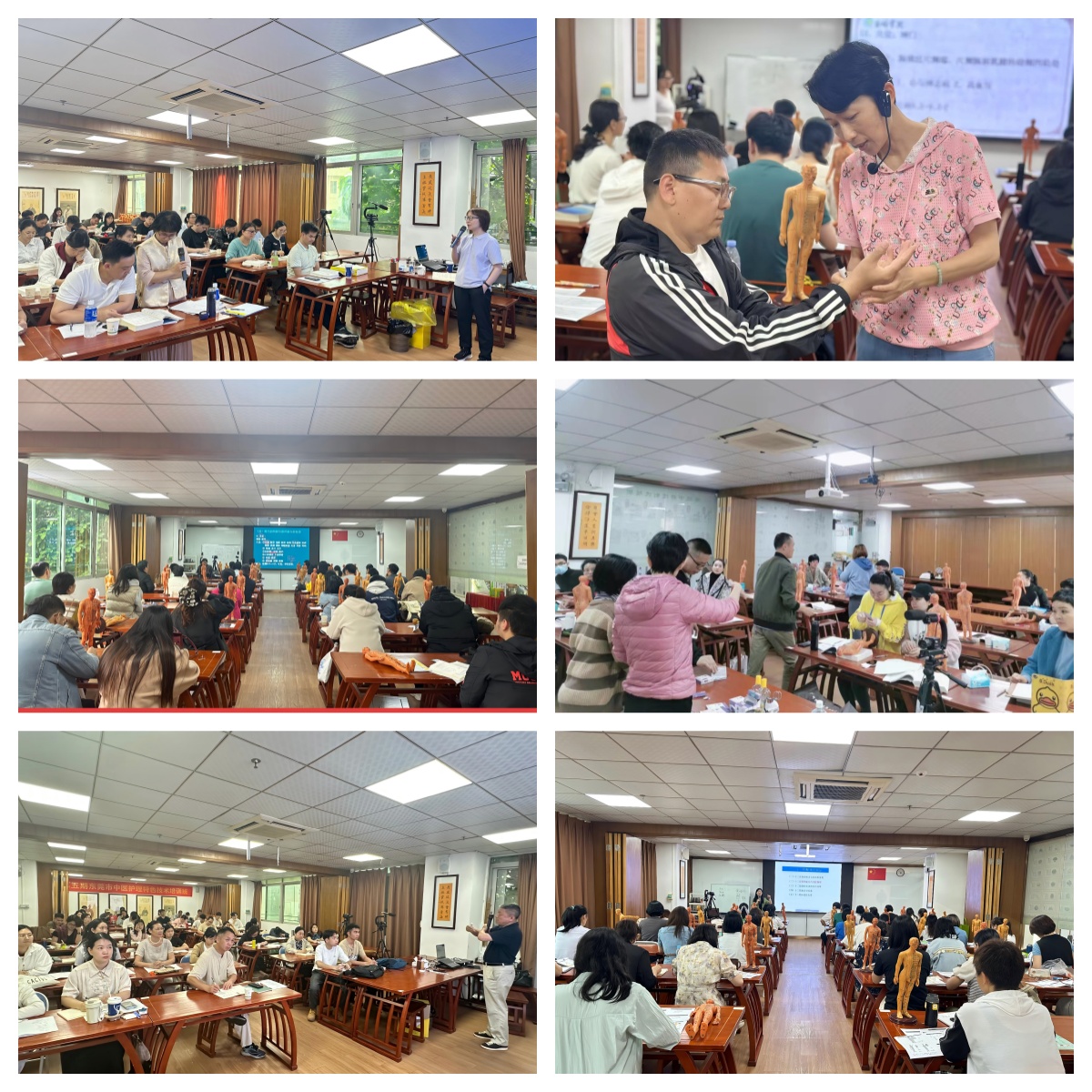 top榜东莞靠谱的传统中医针灸培训机构实力榜排名汇总