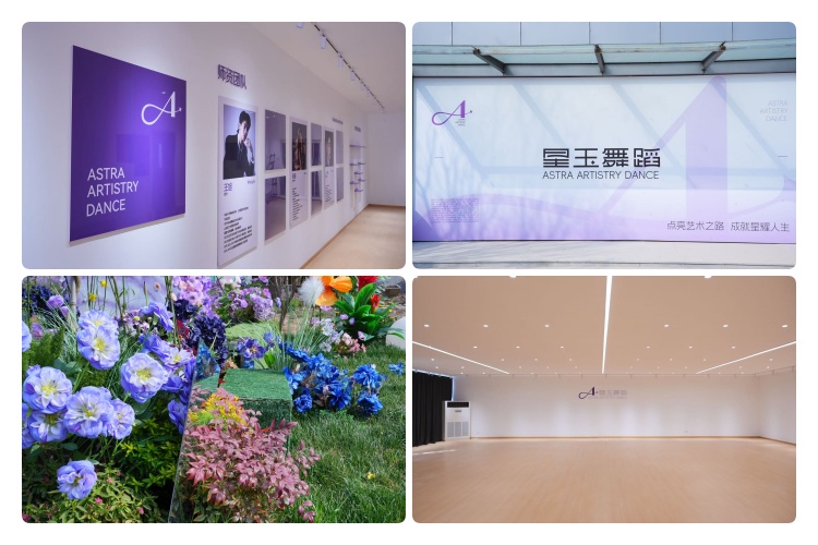 山东济南舞蹈艺考集训班专业的十大学校排名一览