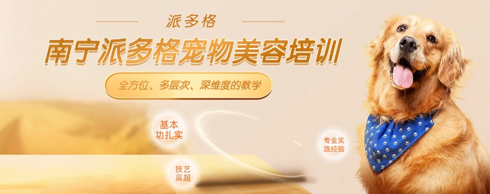 想入行宠美必看优质院校广西南宁宠物美容培训机构榜首名单全盘点