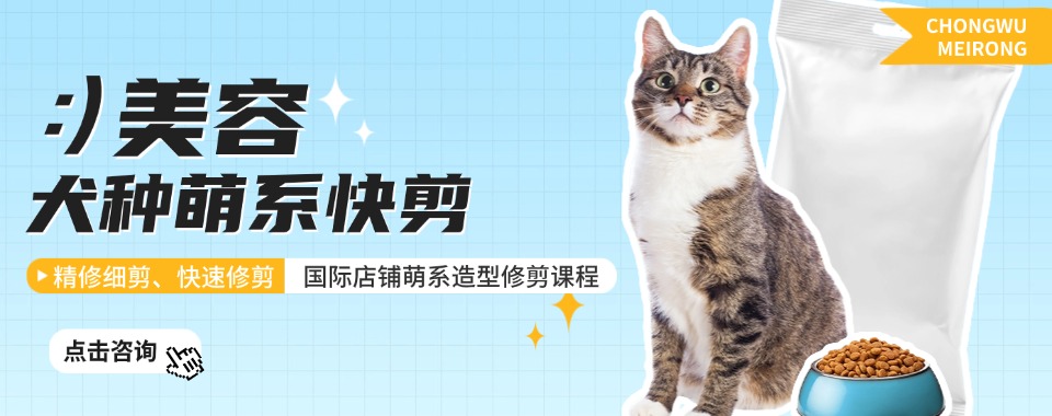 想入行宠美必看优质院校广西南宁宠物美容培训机构榜首名单全盘点