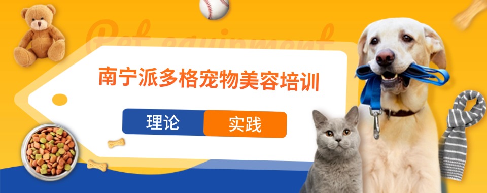 创业开店必看指南盘点南宁市热门宠物美容培训排名更新
