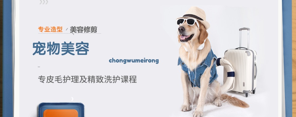 零基础优选榜单！南宁青秀区宠物美容培训机构人气榜首推荐一览