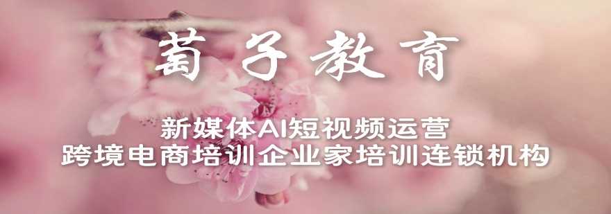 甄选杭州地区排名前列的跨境电商培训机构推荐一览