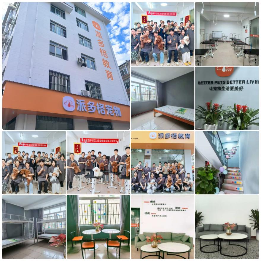 2026广西南宁宠物美容培训机构排行榜公布，优质院校榜首推荐一览